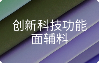 创新科技功能面辅料